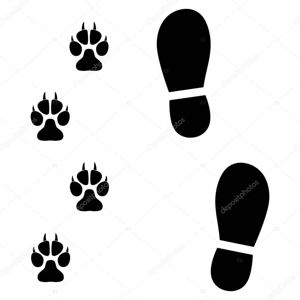 Traces of man and dog on white background