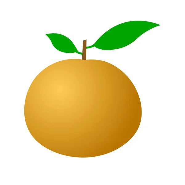 Ripe tangerine on a white background — Stock Vector