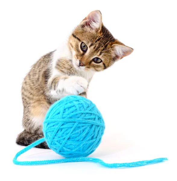 Cat with ball of yarn — Stock Photo, Image