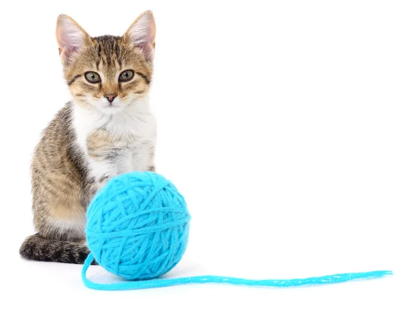 Cat with ball of yarn — Stock Photo, Image