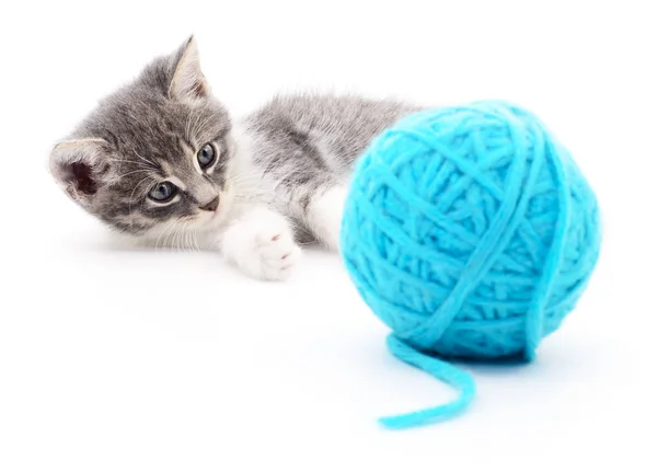 Cat with ball of yarn — Stock Photo, Image