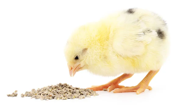 Baby kip een maaltijd — Stockfoto