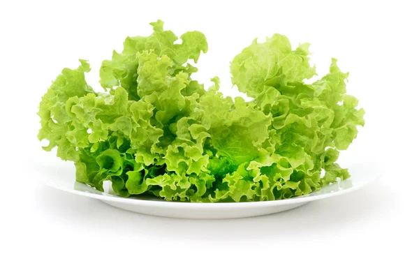 Verse groenten salade. — Stockfoto