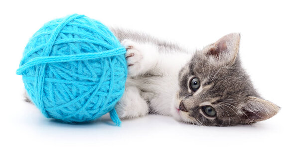 Cat with ball of yarn
