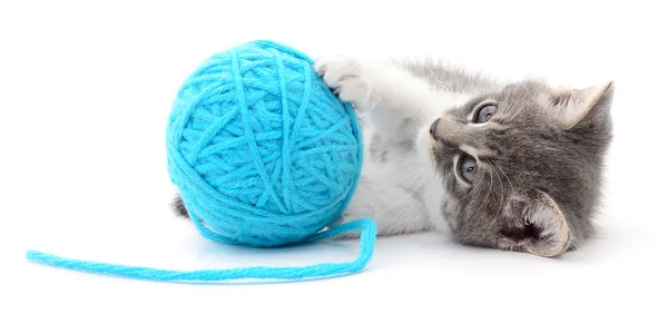 Cat with ball of yarn — Stock Photo, Image