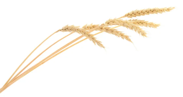 Parta pšenice na bílém pozadí. — Stock fotografie