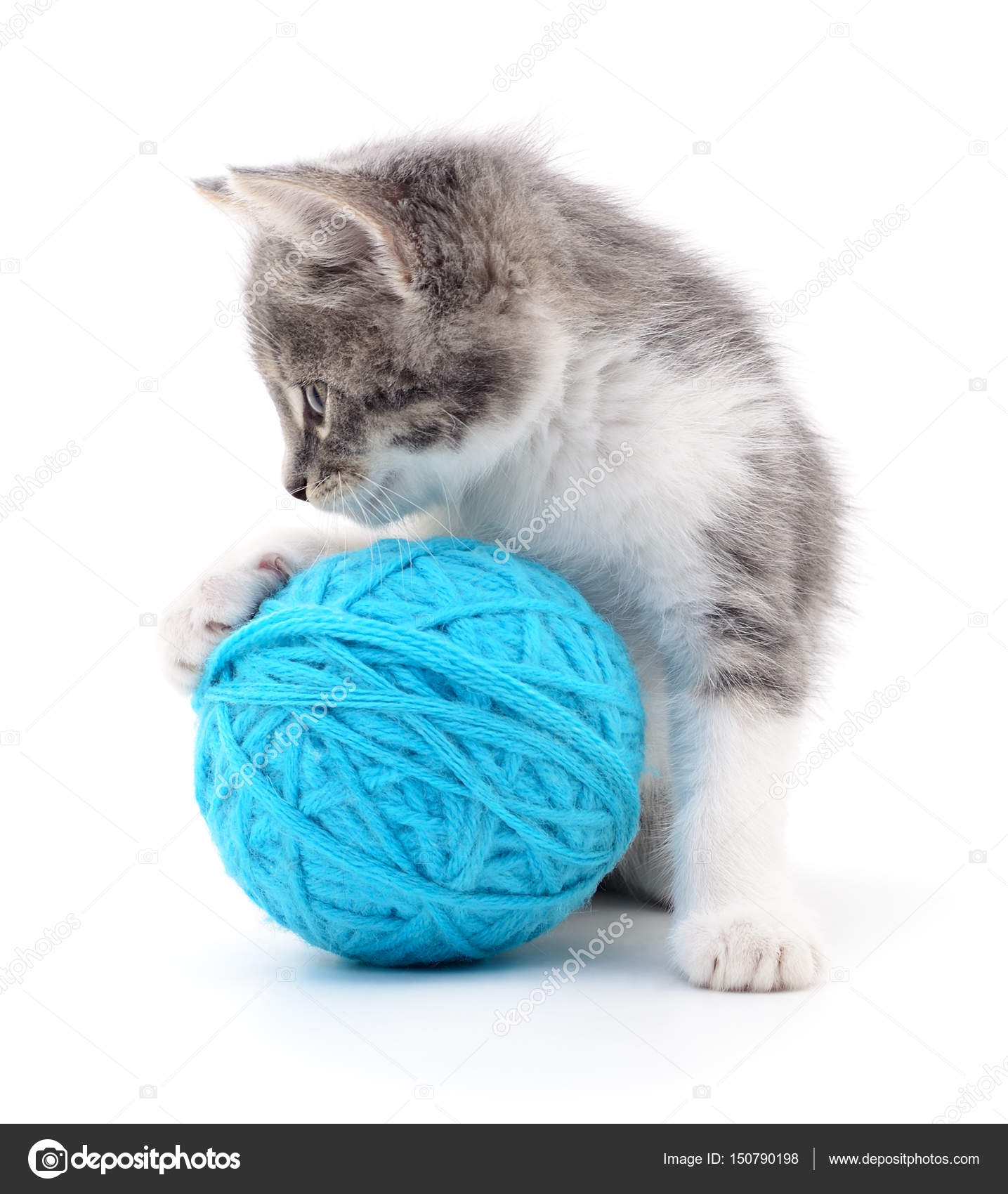 cat ball of yarn