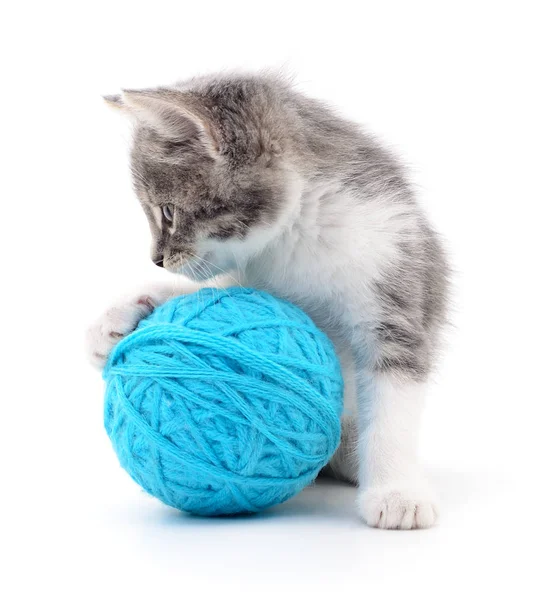 Cat with ball of yarn — Stock Photo, Image