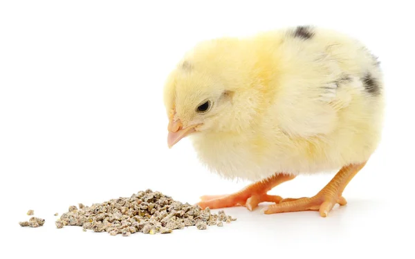 Baby kip een maaltijd — Stockfoto