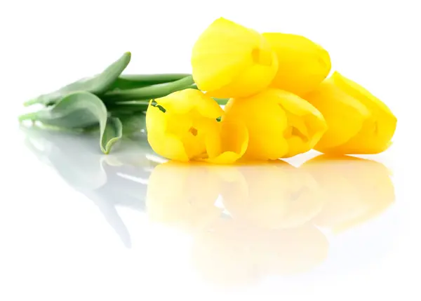 Five yellow tulips — Stock Photo, Image