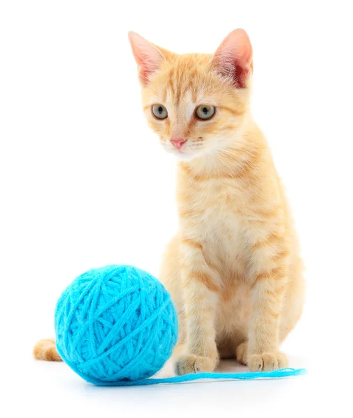 Gato con bola de hilo — Foto de Stock