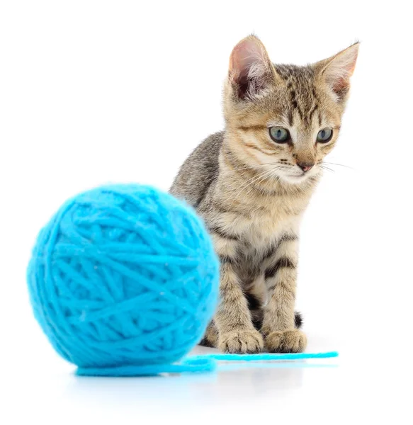 Cat with ball of yarn — Stock Photo, Image