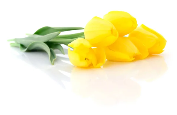 Cinco tulipanes amarillos . —  Fotos de Stock
