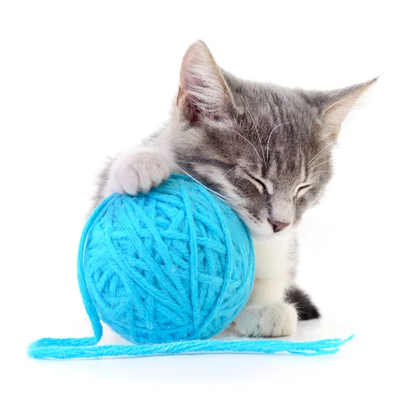 Cat with ball of yarn — Stock Photo, Image