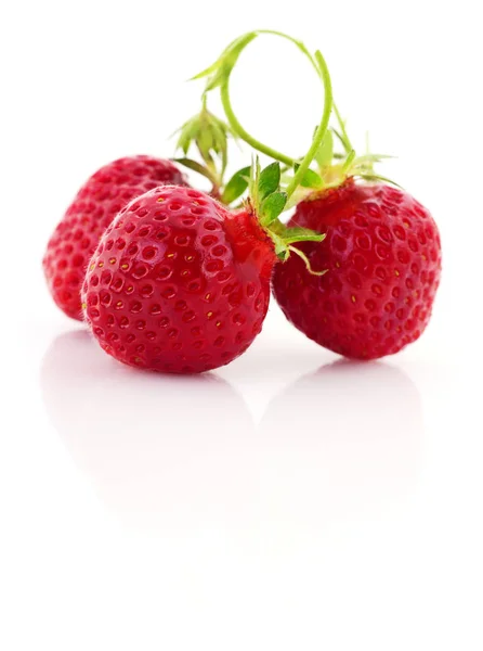 Strawberry with leaves — Stock Photo, Image