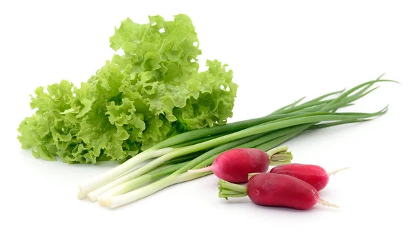 Különböző zöldségkészlet. — Stock Fotó