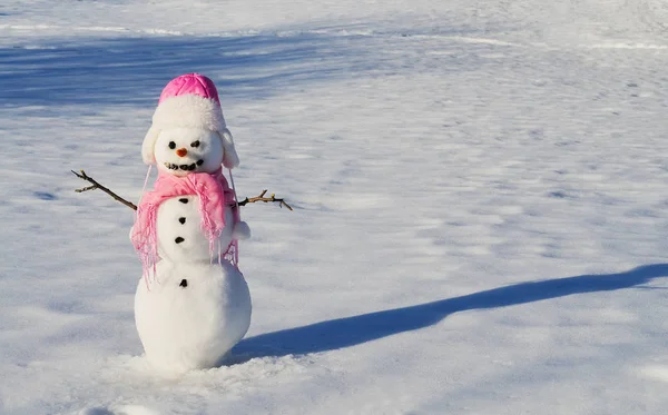 Boneco de neve com nariz de cenoura — Fotografia de Stock