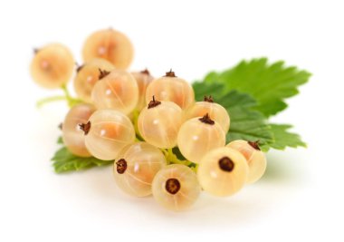 Yeşil yapraklı beyaz kuş üzümü.