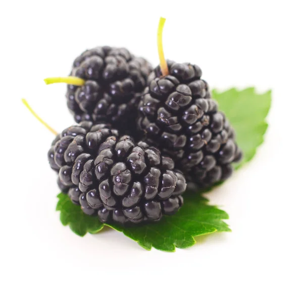 Mulberries Frutas Folhas Fundo Branco — Fotografia de Stock