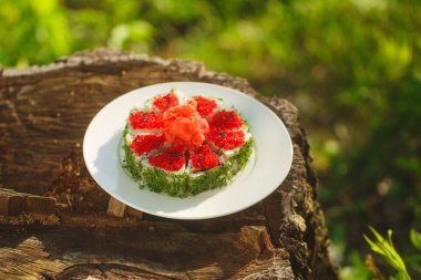 Japonca karpuz zencefil ile şeklinde doğa üzerinde rulo