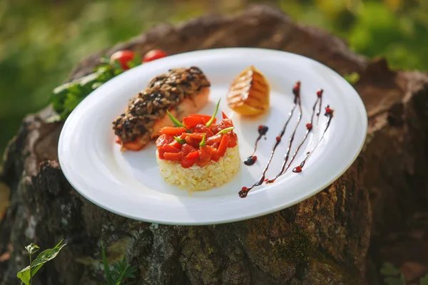 Arroz con salmón en un plato blanco — Foto de Stock