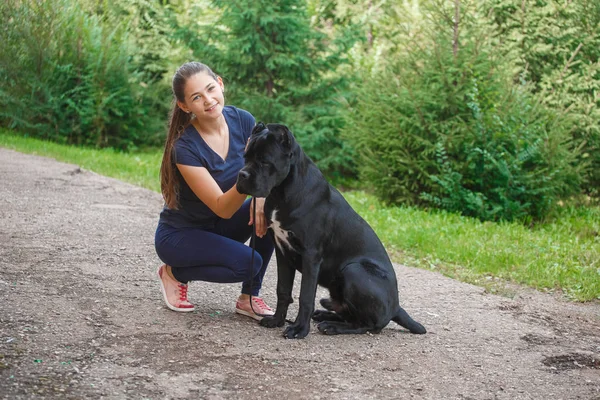 Bir köpeği Cane Corso İtalyan Mastiff ile deste