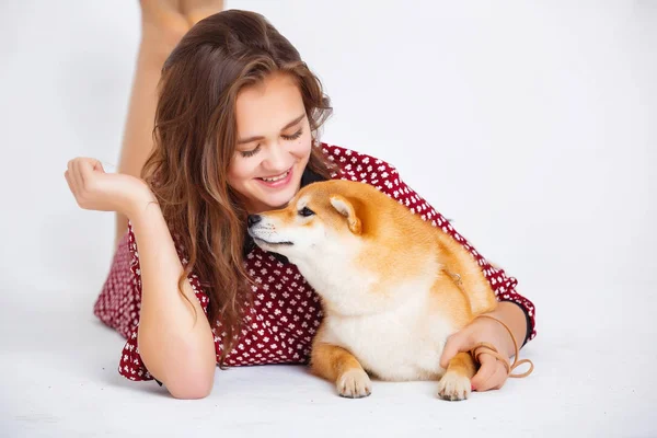 Japán Shiba Inu kutya közelében egy ablak, a tulajdonos — Stock Fotó