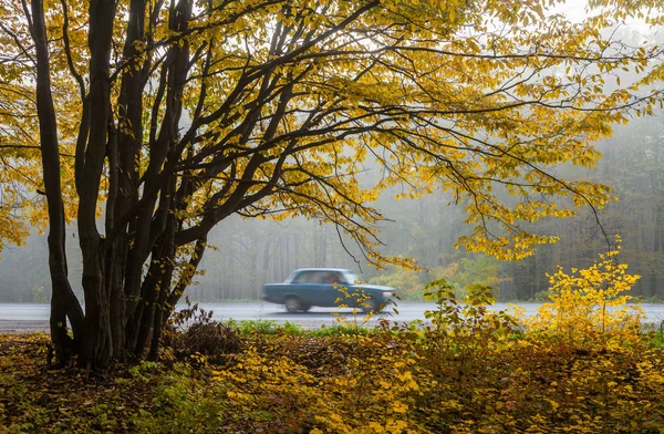 Αυτοκίνητο το φθινόπωρο, δρόμος — Φωτογραφία Αρχείου