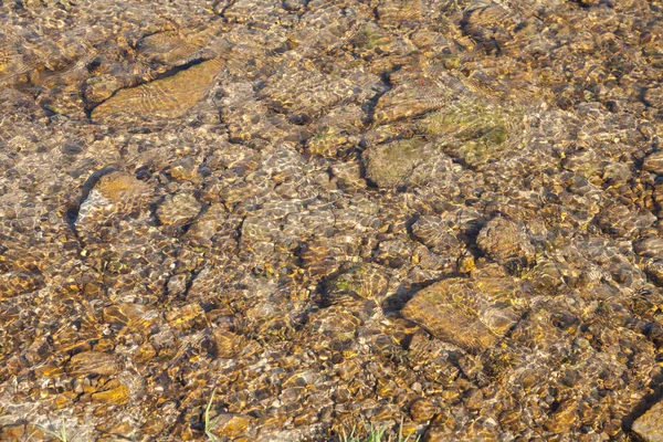 Água limpa no rio — Fotografia de Stock