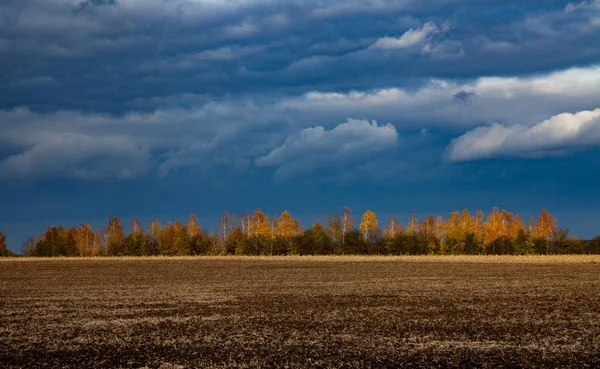 Bäume im Herbst von der Sonne erleuchtet — Stockfoto