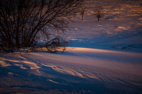 Снежные заносы, освещенные солнцем — стоковое фото