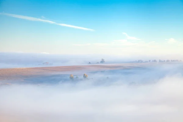 Ranní mlha — Stock fotografie