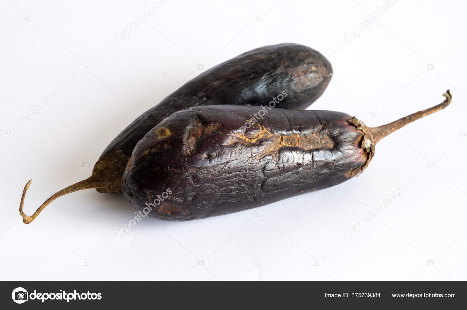 Yangi irqlararo porno videolar Bir kishi sikilyavkani yirtib tashlamoqda