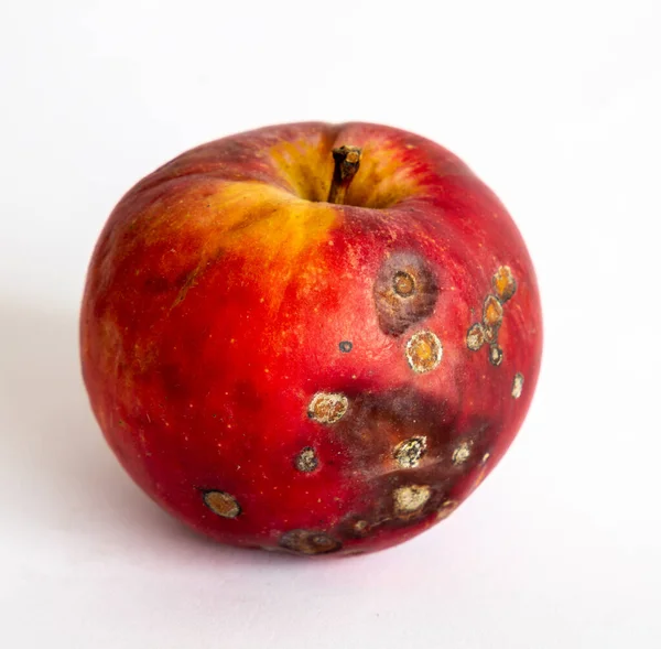 Schlechter Apfel Aus Nächster Nähe Auf Hellem Hintergrund — Stockfoto