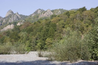 Nehir ve dağlarla dolu güzel bir manzara.