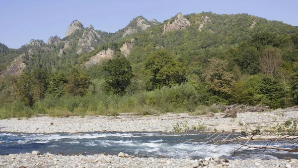 Nehir ve dağlarla dolu güzel bir manzara.