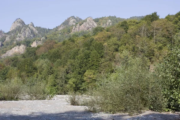 Nehir ve dağlarla dolu güzel bir manzara.