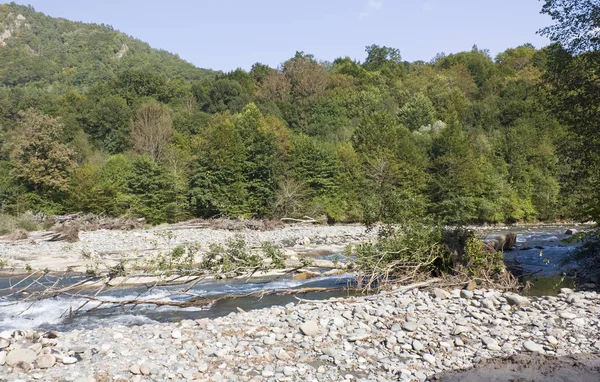 Nehir ve dağlarla dolu güzel bir manzara.