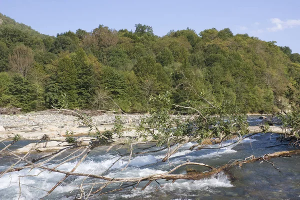Nehir ve dağlarla dolu güzel bir manzara.
