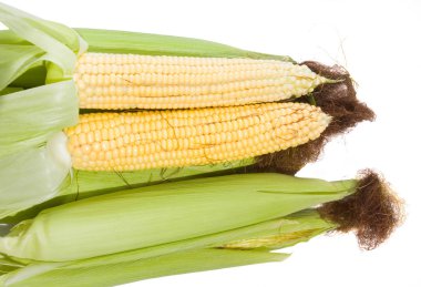 Beyaz arka plan üzerinde izole taze Mısır sebze