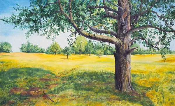 Літній Пейзаж Деревом Картина Маслом — стокове фото