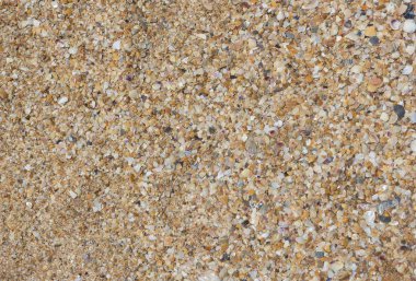 Sandy arka plan kırık deniz kabukları oluşur