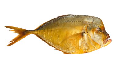 Beyaz arka plan üzerinde izole füme vomer balık