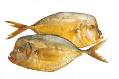 Beyaz arka plan üzerinde izole füme vomer balık