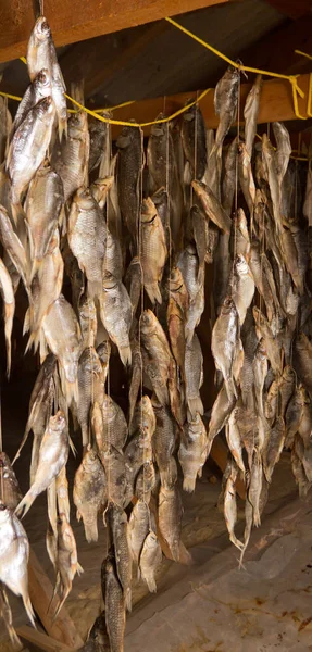 Sacco Pesce Che Asciuga Soffitta Sacco Scarafaggi Secchi Sul Cavo — Foto Stock