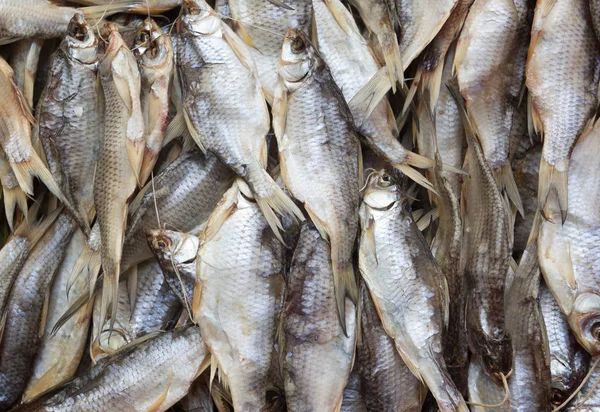 Pozadí Sušených Ryb Sušené Plotice — Stock fotografie