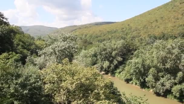 Ovanifrån Över Floden Och Skogen Floden Psekups Nära Goryachiy Klyuch — Stockvideo