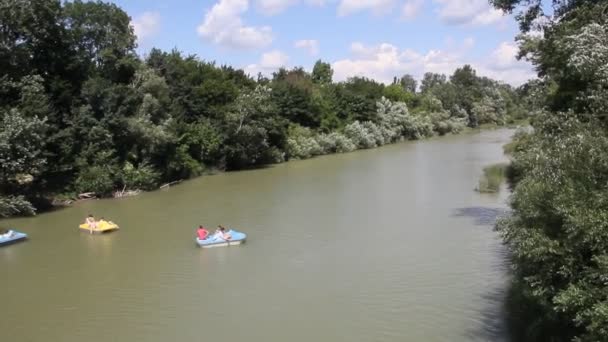 Vista Dall Alto Del Fiume Della Foresta Fiume Psekups Vicino — Video Stock