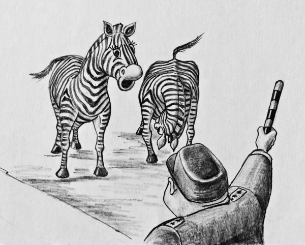 Two Zebras Police Officer Striped Stick — 스톡 사진