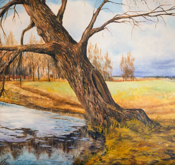 Spring Landscape Old Willow Old Tree Leaned Water Art Oil — ストック写真
